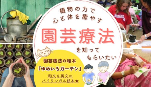 【60歳の挑戦】クラウドファンディング、12月7日から始めます